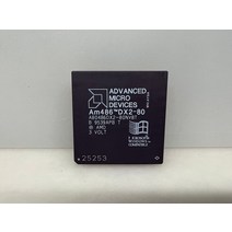 AMD Am486 DX2-80 CPU ping