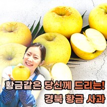 산지직송 국산 경북 시나노 골드 황금 사과 2kg 3kg, best 황금사과 2.6kg 10과, 상세페이지 참조