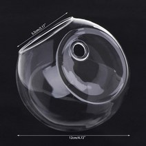 벽걸이어항 glass vase wall hanging hydroponic terrarium fish tanks potted plant flower pot, 12cm