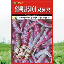 얼룩난쟁이강낭콩 씨앗 얼룩강낭콩 씨 종자 30g, 1개
