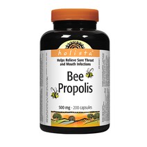 홀리스타 캐나다 비프로폴리스 200캡슐 HOLISTA BEE PROPOLIS 500mg