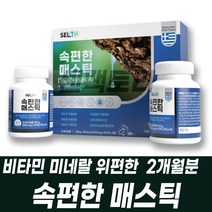 속편한 매스틱 MASTIC 마스틱 유산균 락토바실러스