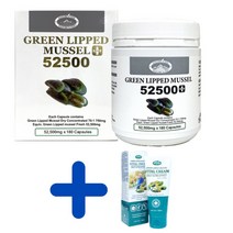 네이처스탑 52500 초록홍합 호주 초록입홍합 녹색 초롱 잎 홍합 NATURES TOP