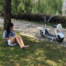 미니스쿠터 할리전동 스쿠터 이쁜 소형 출퇴근 전동바이크 789390, 소형 Harley 12A 납산_60V