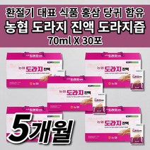 충북 인삼 농협 국산 국내산 도라지 진액 즙 엑기스 액기스 원액 식약처 인증 환절기 기관지 건강 에 좋은 음식 차 식품 선물 6년근 홍삼 대추 당귀 영지버섯 함유 도라지즙 30포, 5개