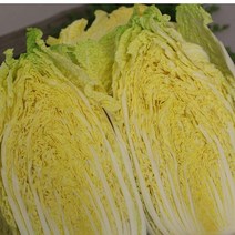 쌈배추(상) 알배기 8kg내외 1박스 자연대로팜웨이, 쌈배추(상)8kg내외