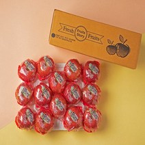 [당도12브릭스이상] 마미템 껍질째 먹는 씻은 사과 2kg 3kg 5kg 경북 gap 고당도 세척사과 소과 중과 대과, 3kg(16-21개입), 1개
