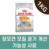 장모견 모발 윤기 개선 기능성 사료 1kg 강쥐 강아지사료추천 애견사료 맛있는사료 멍멍이 개사료 개밥
