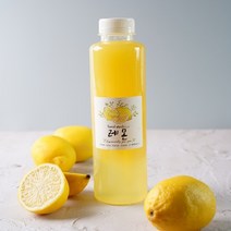 봉봉프룻 진한레몬청 고농축착즙청, 안전배송해주세요, 1l