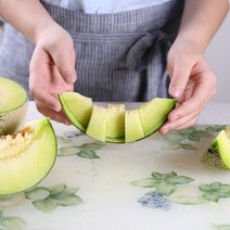 썬리치 썬리치 머스크 메론 1수 / 2수 / 4수 (개당 2kg 내외 ) 공유하기 페이스북 트위터 닫기