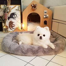 강아지 고양이 마약 방석 구름 쿠션 감성 펫 테리어 캣방 애견 포토존 유모차 코스트코