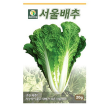 서울배추씨앗조선배추 20g, 15개