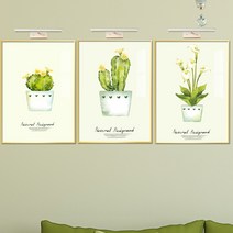 보고아트 아트빈티지 수채화 그림 거실 인테리어 액자, Natural 선인장 수채화_A+B+C_3개세트
