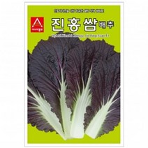 아시아종묘 배추씨앗 진홍쌈 배추(100립)