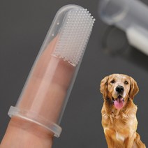 강아지칫솔 고양이칫솔 실리콘 손가락칫솔