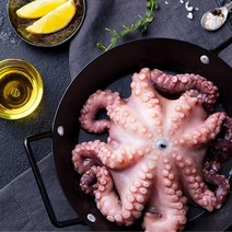 굴키우는남자 통영 자연산 돌문어500g(1~3미내외), 단품