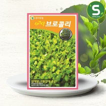 솔림텃밭몰 새싹브로콜리씨앗 30g 새싹브로콜리 새싹채소