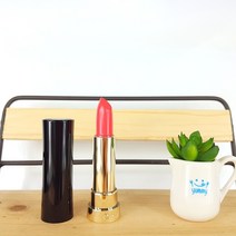 오휘 루즈리얼 립스틱 레드 핑크 코랄 오렌지 베이지, 비바핑크