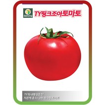 TY핑크조아토마토씨앗 10립 토마토씨 텃밭과일