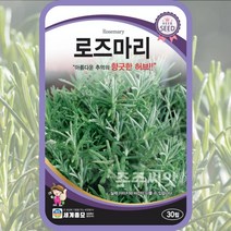 로즈마리 20립 허브 씨 씨앗 종자