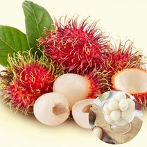 [푸른강산애] 냉동과일 람부탄 1kg*2EA, 2개, 1kg