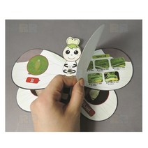 배추흰나비의 관찰 5인/과학 실험 키트 교구 도구 만들기