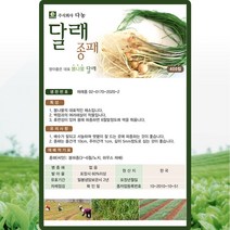 달래 씨앗 달래 씨 종패 종자 400립