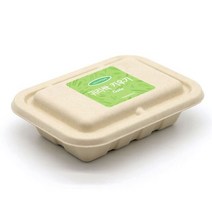 틔움세상 화분재배키트 건강새싹채소 키우기, 보리싹