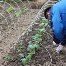 미니하우스 프레임 강선 활대 터널용 철사 조립식 온실 자재 텃밭 채소 야채 뼈대, 4mm 두께 1.3m 막대, 10개, 1개