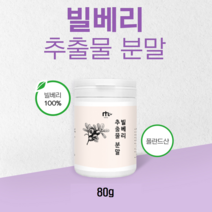 빌베리 루테인 빌베리추출분말 야생블루베리 안토시아닌 카데킨 청소년 성인 빌베리루테인 온가족 눈건강식품, 1통, 80g