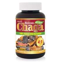 차가 120캡슐 베타글루칸 4배 농축 차가버섯 1600mg 허바 캐나다, 120정, 1개