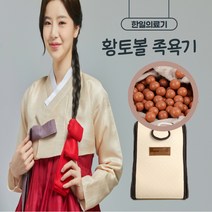 5년품질보증 국내최초 청운 노스윈드 한일의료기 황토볼 건식 족욕기, 단품
