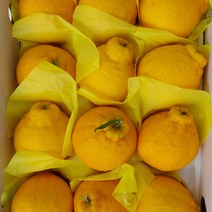 [제주직송} 제주 한라봉 제주도 제철 2kg 3kg 5kg 선물용 가정용, 3kg 가정용_혼합과12과내외, 1개