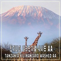 (커피생두) 35 탄자니아 킬리만자로 워시드 AA 500g, 1개