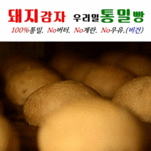 [유스마일] 한달30개 돼지감자통밀빵 60g 매일 하루 1개 650원, 30개