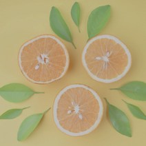 [캔들이케아] 국내산 프래그런스 100ml 오일 108종, 81_딥 오데썽