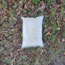 도원피싱 대용량 벌크 압맥1.5kg 감성돔밑밥 원투 카고 집어제, 압맥&옥수수 1.5kg