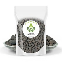 국산 연자육 차 연꽃씨앗 연자 연씨 250g, 없음, 1개
