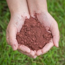 신토불이 국산 약초 아로니아분말 200g, 13Z3_국산아로니아분말200g
