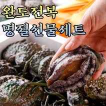 산지직송 완도 전복 특대 제철 생물 활전복 선물용 선물세트 직거래 설 추석 명절 선물 1kg 꼬마 산소포장, 07.전복 7미(특특대) 1kg