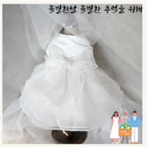 편하게 입히기 좋고 특별한날 같이 사진찍기 좋은 반려견 반려묘 웨딩드레스