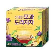 담터 상쾌한 모과 도라지차, 1g, 120개입