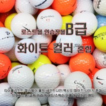 초보자를 위한 부담없는 로스트볼 브랜드 B+급 모음, 토탈브랜드 혼합 B+, 50개