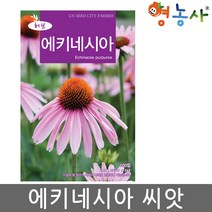 에키네시아씨앗 100립 자추국 다년생 국화과, 에키네시아 100립