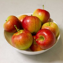 영천 루비에스 사과 못난이 꼬마 한입 미니사과 1kg 알프스오토메 제철과일, 미니사과 천홍 1kg 20과 내외