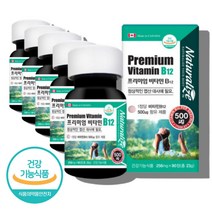 메코발라민 메틸 코발라민 비타민비12 고농축 약국 코스트코 수용성 비타민 b b12 영양제, 비타민B12 90정 X5통