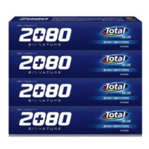 5 덴탈크리닉 2080 시그니처토탈 블루 치약 150g 12개