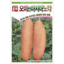 아시아종묘 신아시아 노각 오이 50립 씨앗 종자 노각오이 씨앗종자, 1개