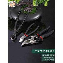 조경 원예 용품 세트 자재 분재가위 도구 정원, 초보 입문 3종 세트