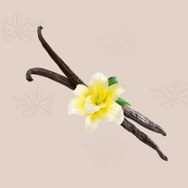 유몬 16cm UP 바닐라빈 버번 파푸아뉴기니산, 1팩, 100g